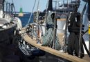 Patente nautica: trend, novità e formazione